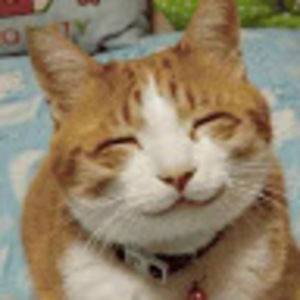 Meet your Posher, Kara